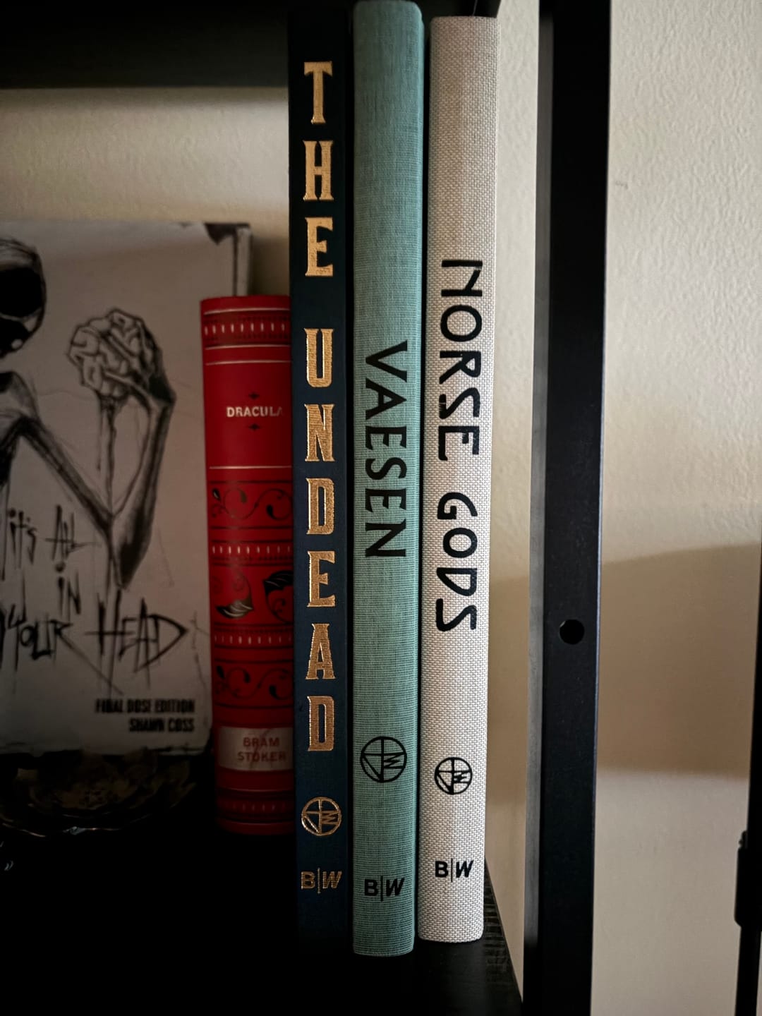Customer photo review of PRE-ORDER: VAESEN ANNIVERSARY EDITION - SIGNED BOOK & PRINT