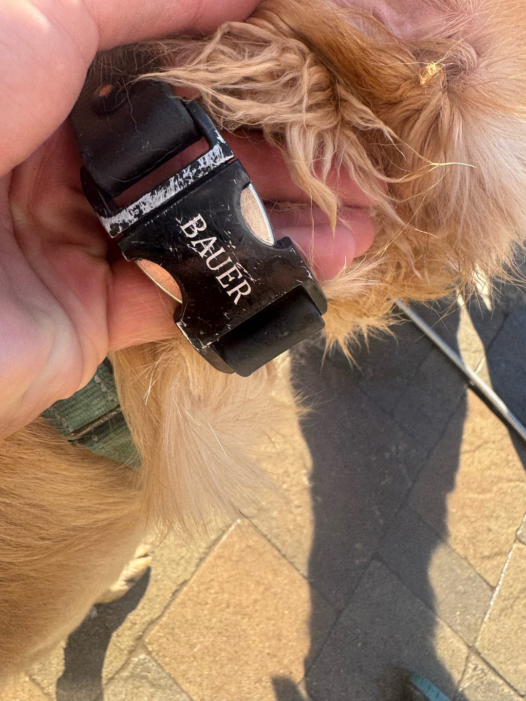 Customer photo review of The Blackout Waterproof Quick-Release Collar | Built with BioThane®