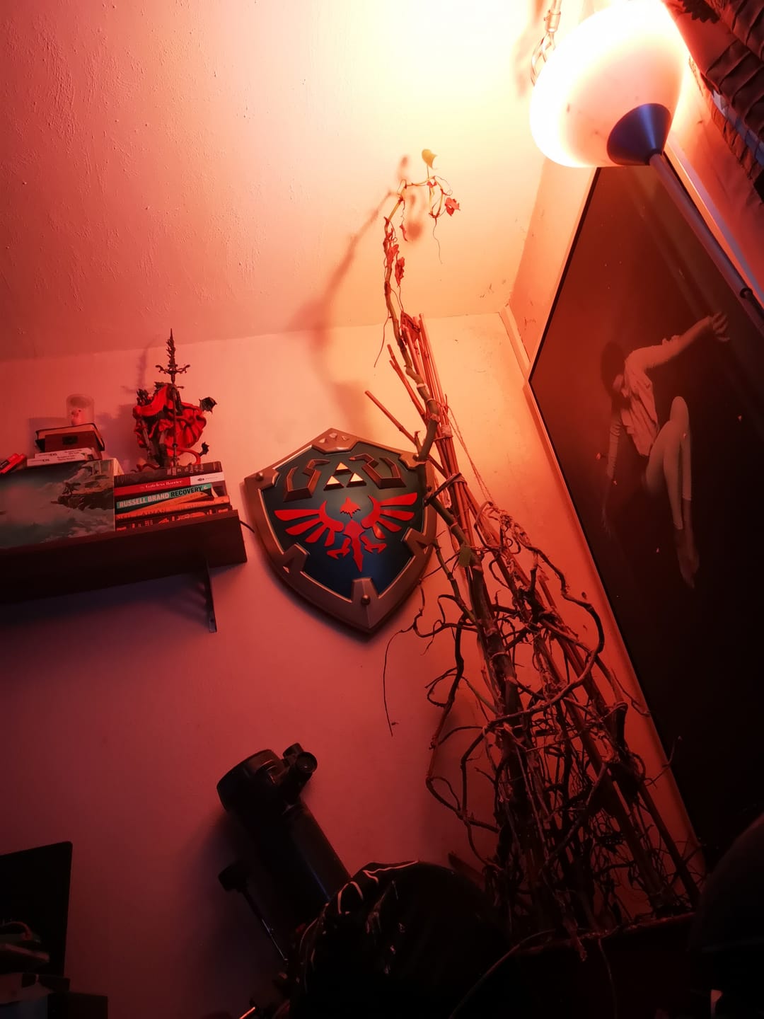 Customer photo review of Legend Of Zelda - Deluxe Hylian Shield (Full Metal)