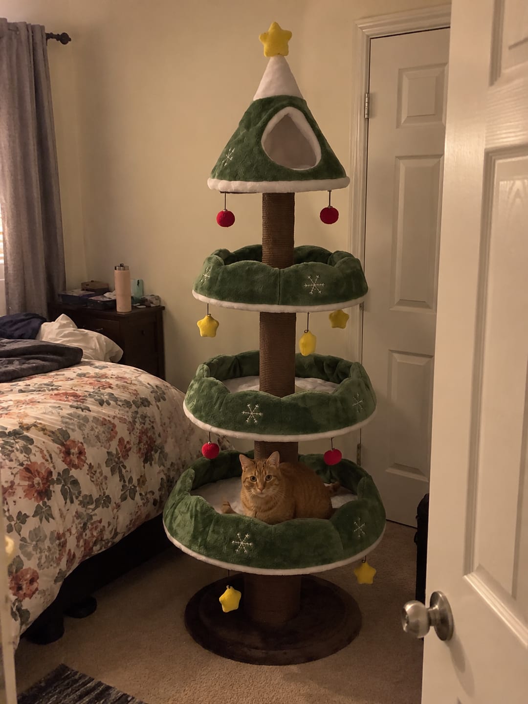 Customer photo review of MichiTree© Christmas Tree for Cats