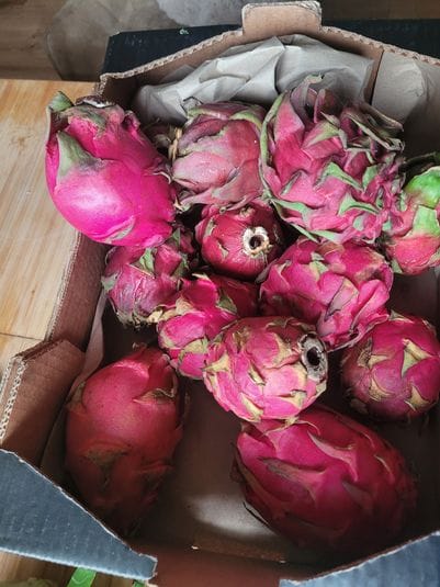 Customer photo review of Drachenfrucht rot Bio von Salvador Sparpreis-Box %