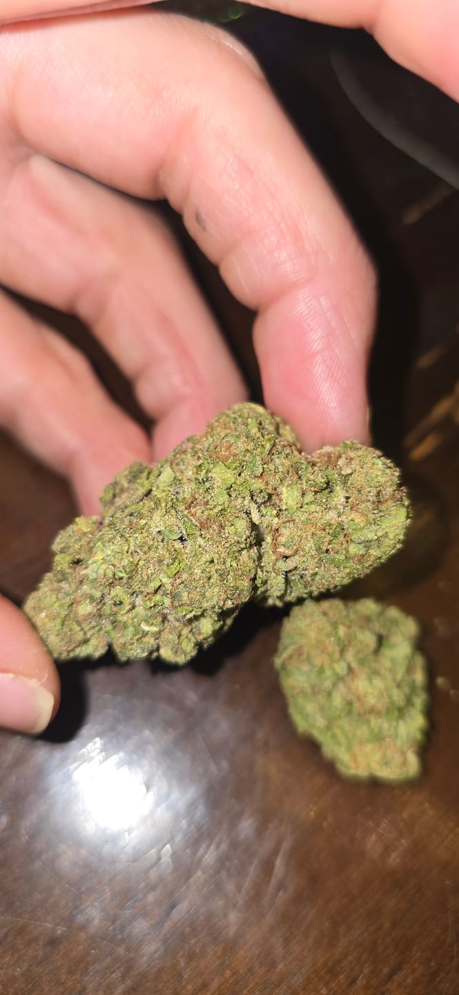 Customer photo review of Big League Choo THCA Flower