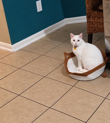 Customer's white cat sitting in the circular rope Instinct Basket on a tiled floor.