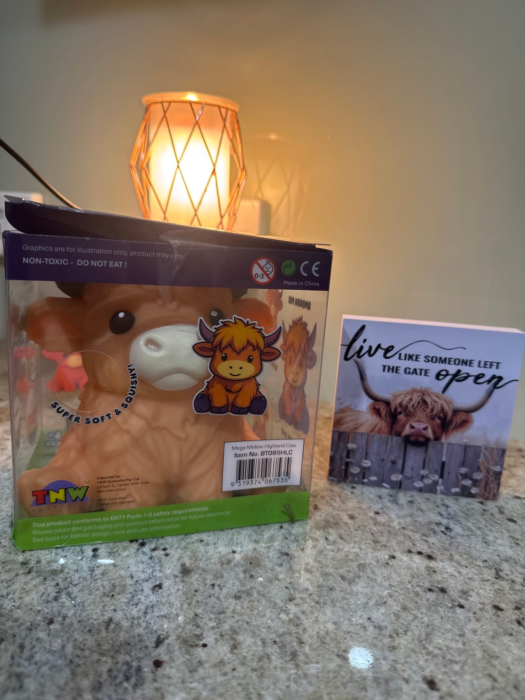 Customer photo review of Giant Durable Squishy Highland Cow