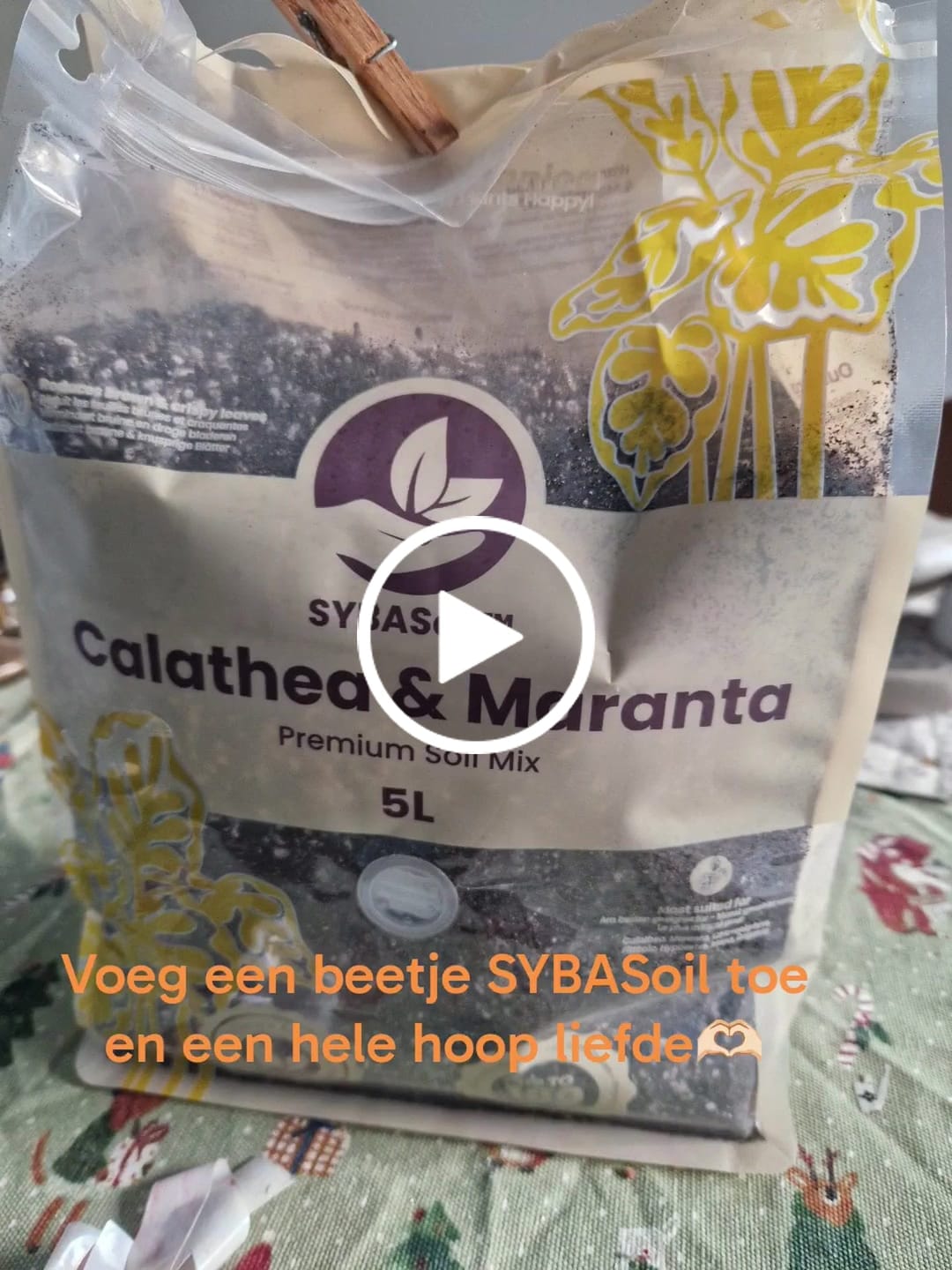 Customer video review of Calathea & Maranta Mix