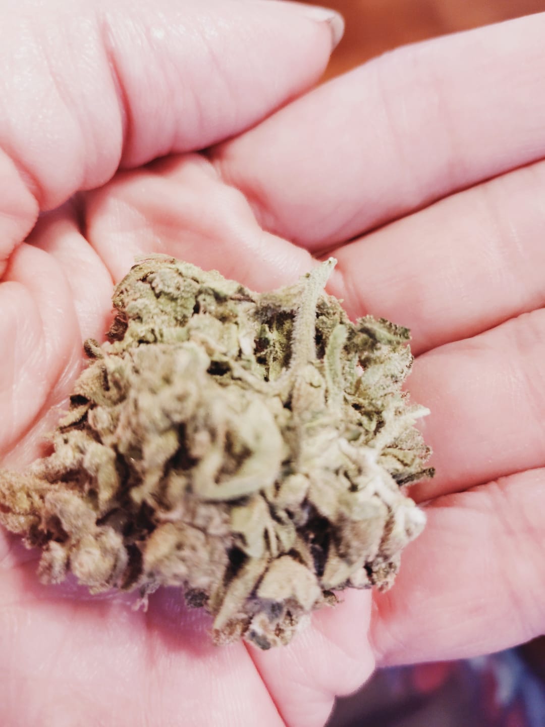 Customer photo review of Puffaroo - Blueberry Headband - 28 Grams - Hybrid