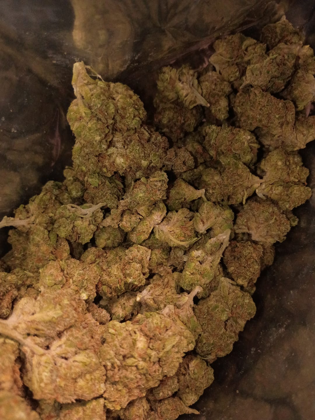 Customer photo review of Cheap THCA Flower Quarter Pound