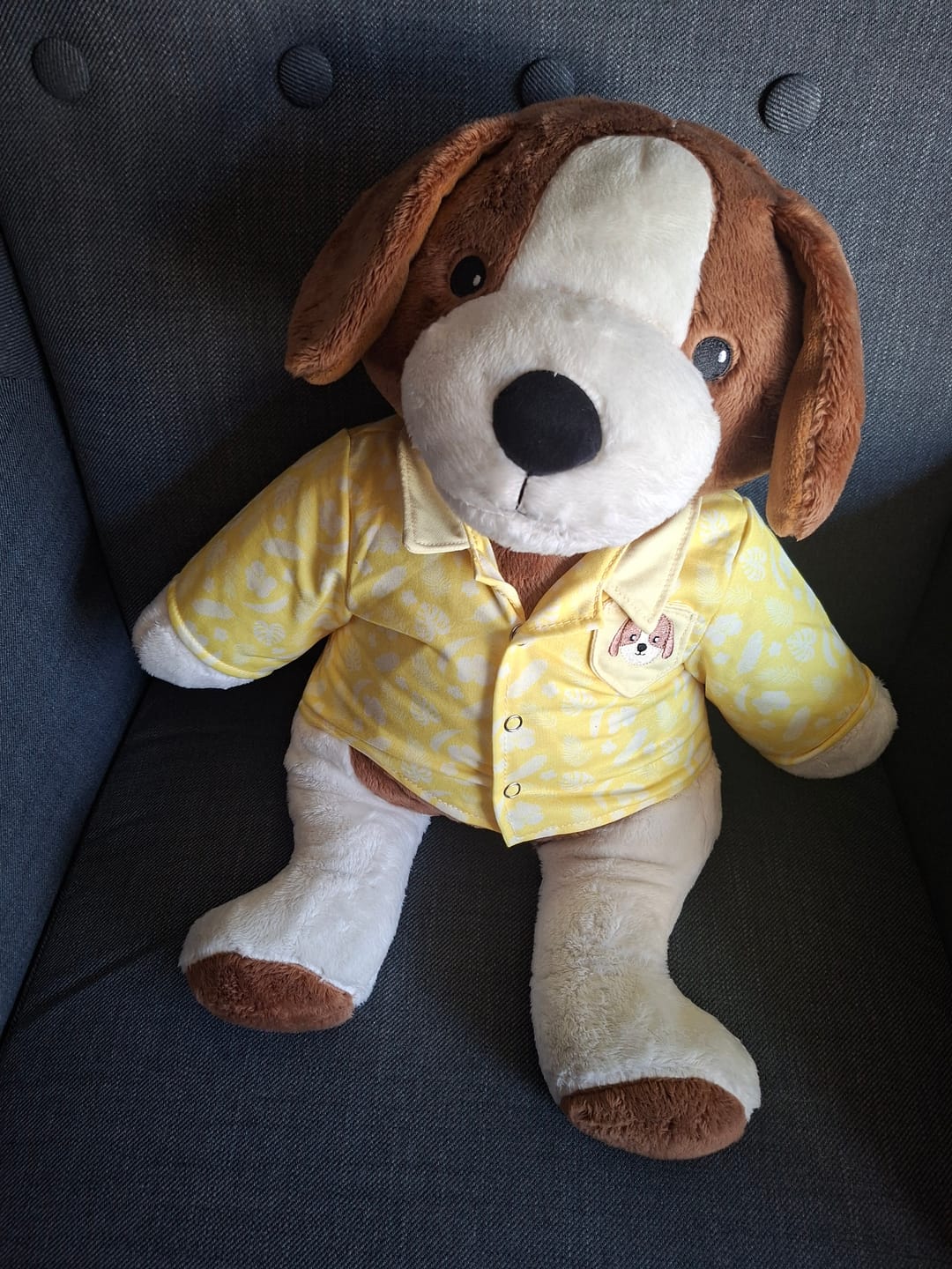Customer photo review of Hond Kleding Lente Lotgenootje