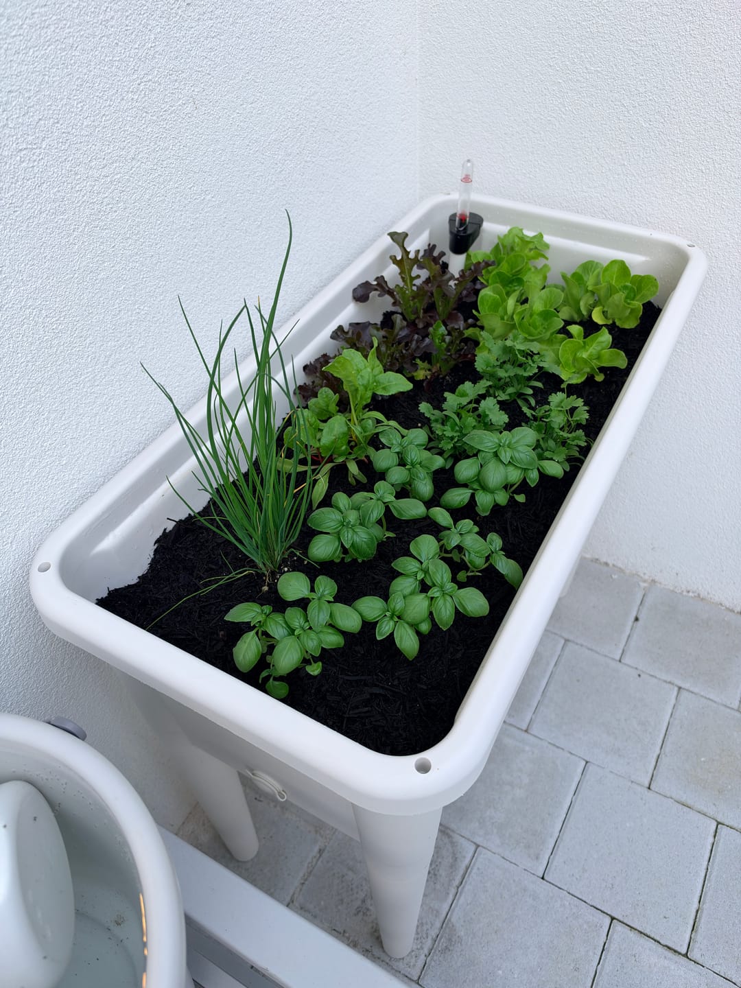 Customer photo review of Greenpod Raised Garden Bed with Cover - White