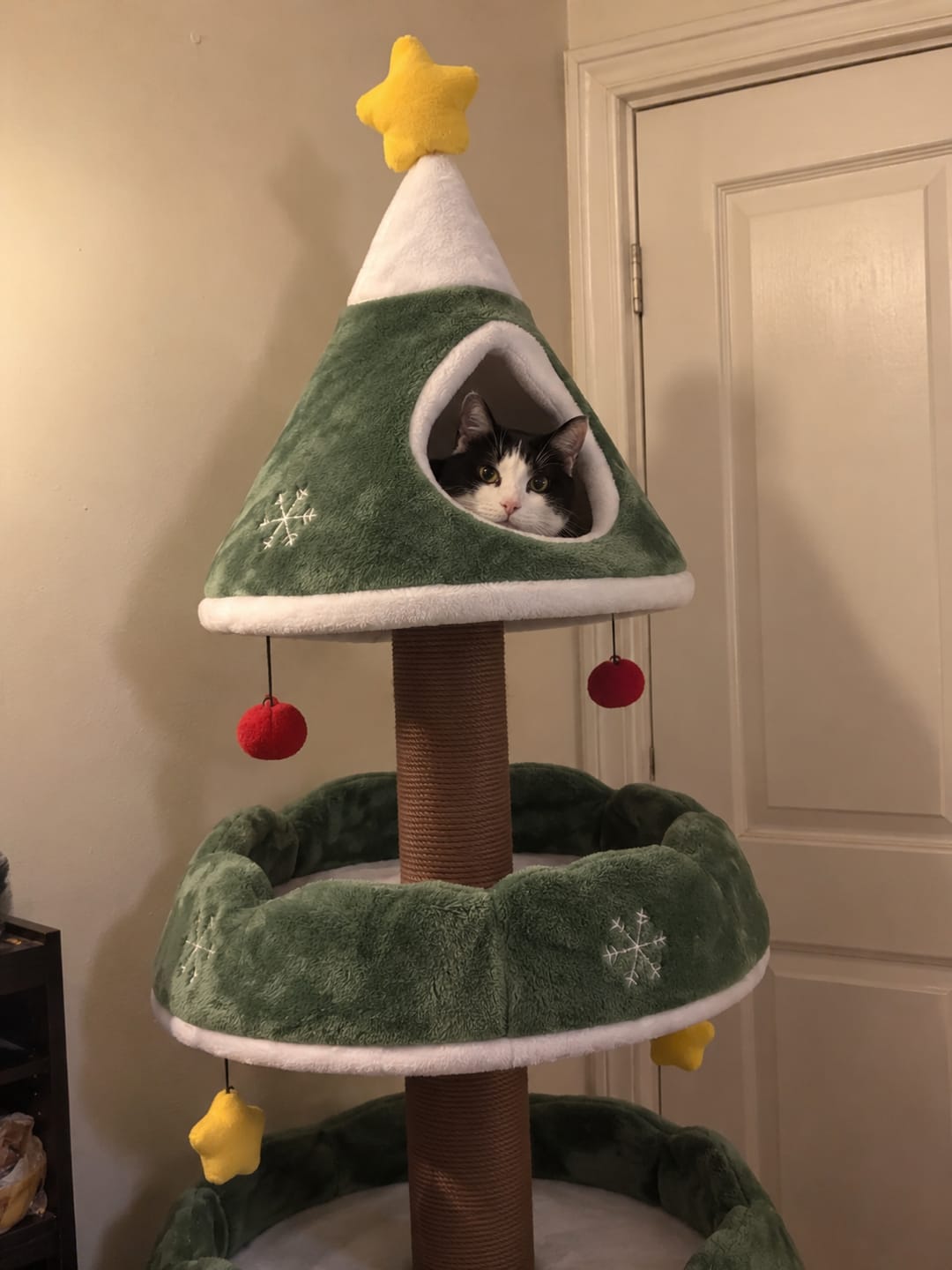 Customer photo review of MichiTree© Christmas Tree for Cats