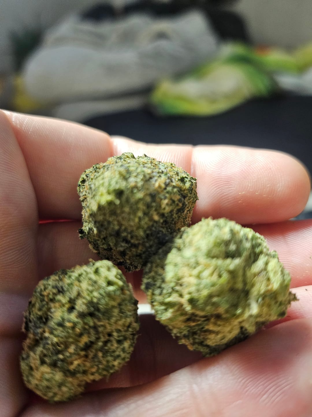 Customer photo review of Blueberry Smalls THCA Flower (Exotic)