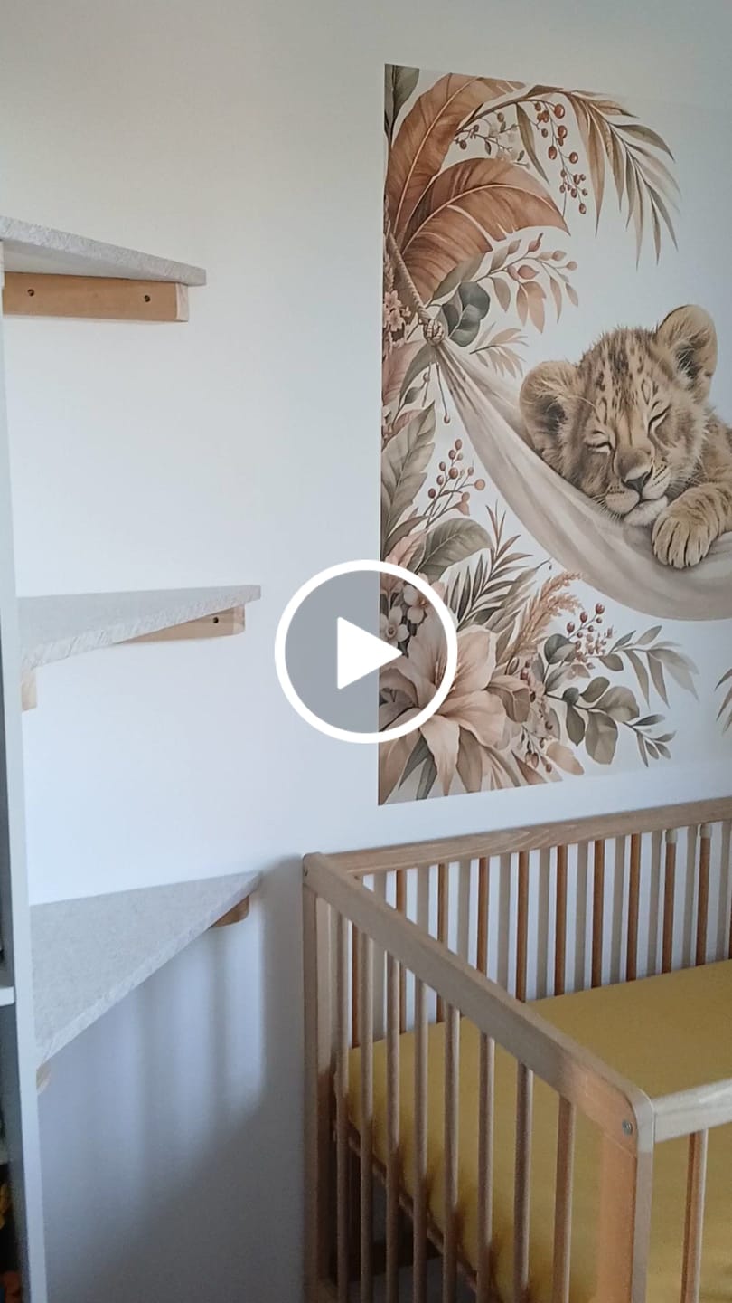 Customer video review of Papier Peint Animaux   Lionceau Hamac Boho