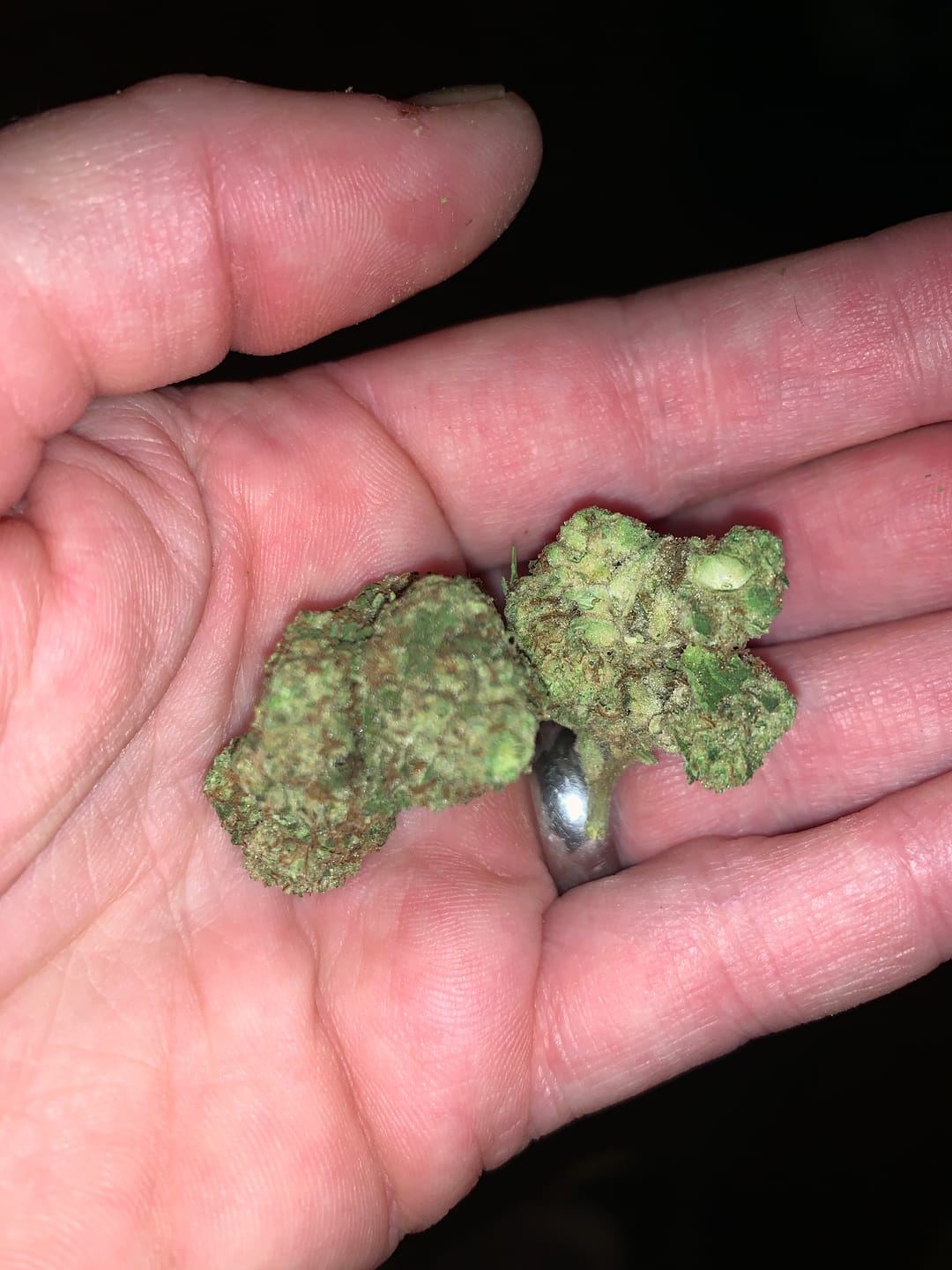 Customer photo review of Acapulco Punch THCA Flower