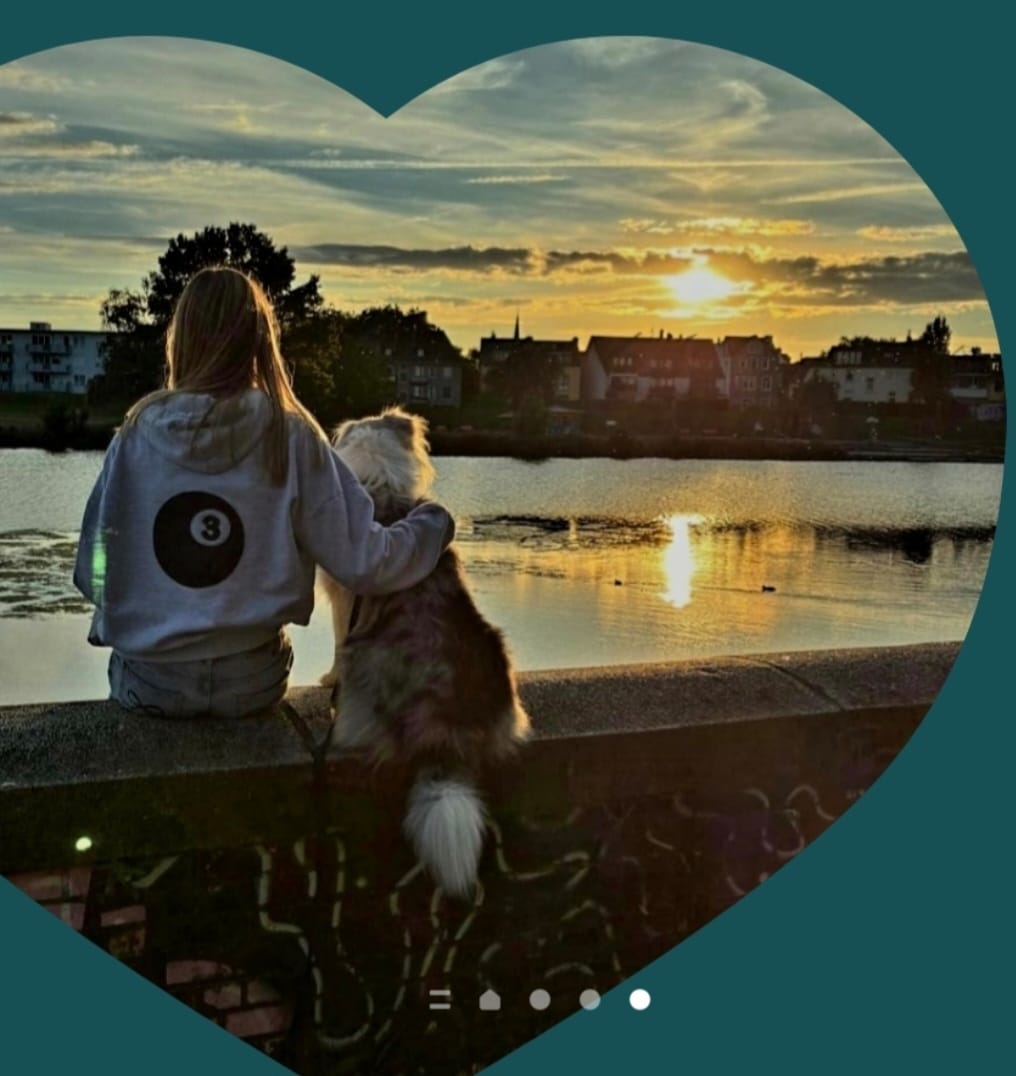 Customer photo review of Allergietest Basic Hund
