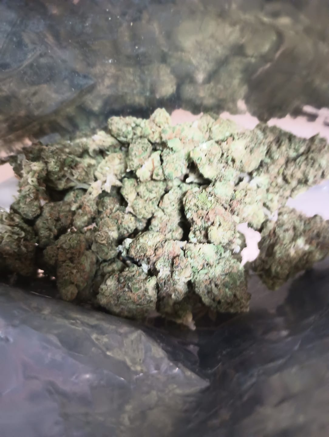 Customer photo review of Cheap THCA Flower Ounce