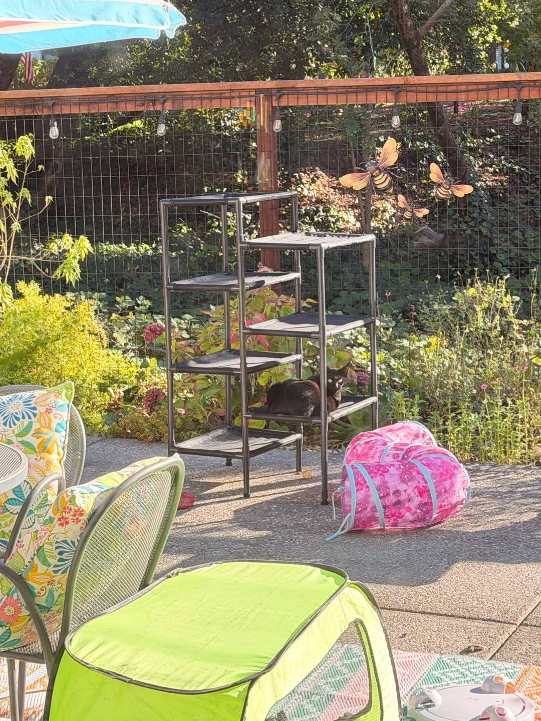 Customer photo review of Durable Cat Tower - Haven