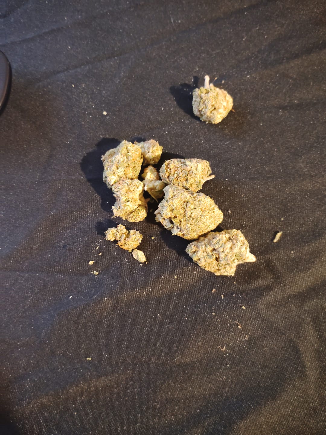 Customer photo review of Papaya Runtz THCA Flower