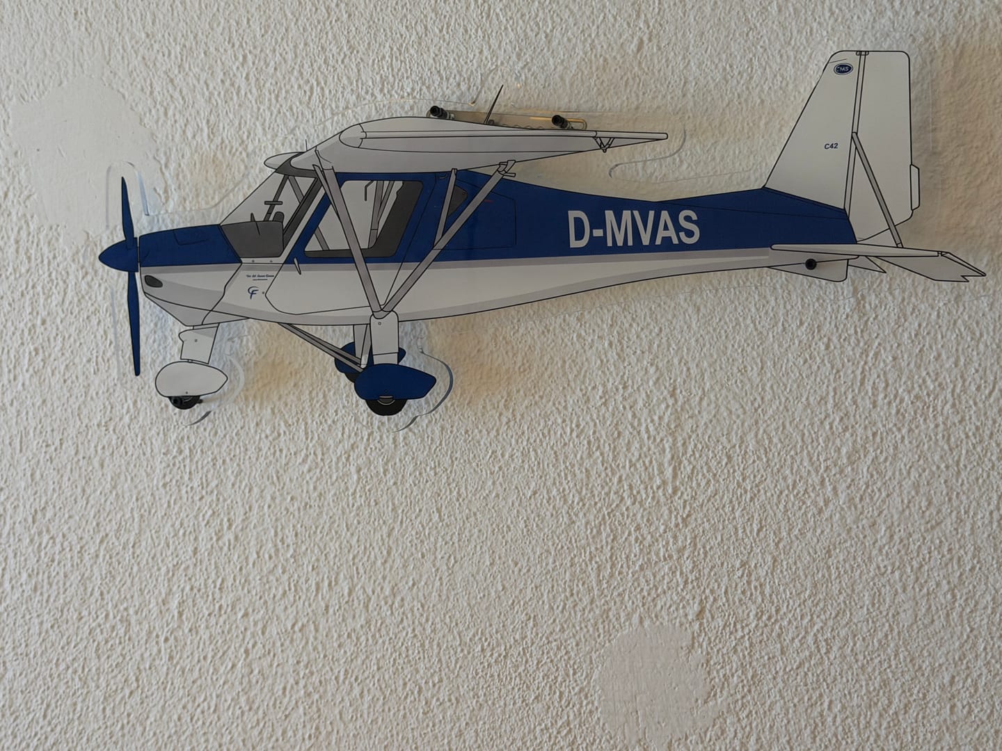 Customer photo review of Your Custom Plane Acrylic Print