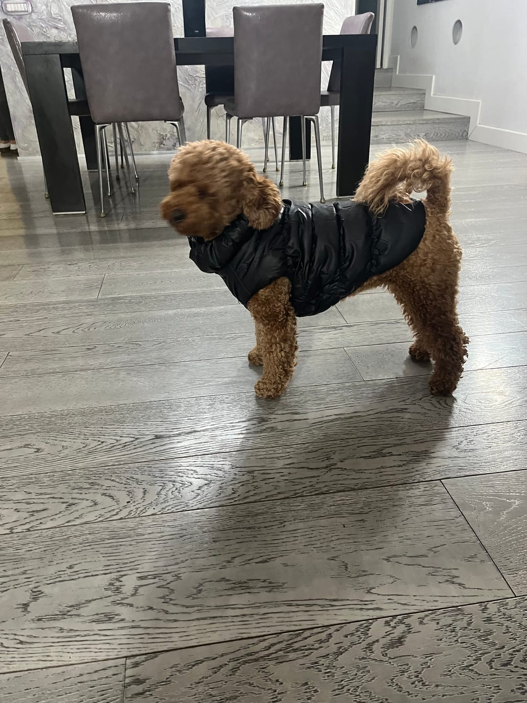 Customer photo review of Sweet Bomber