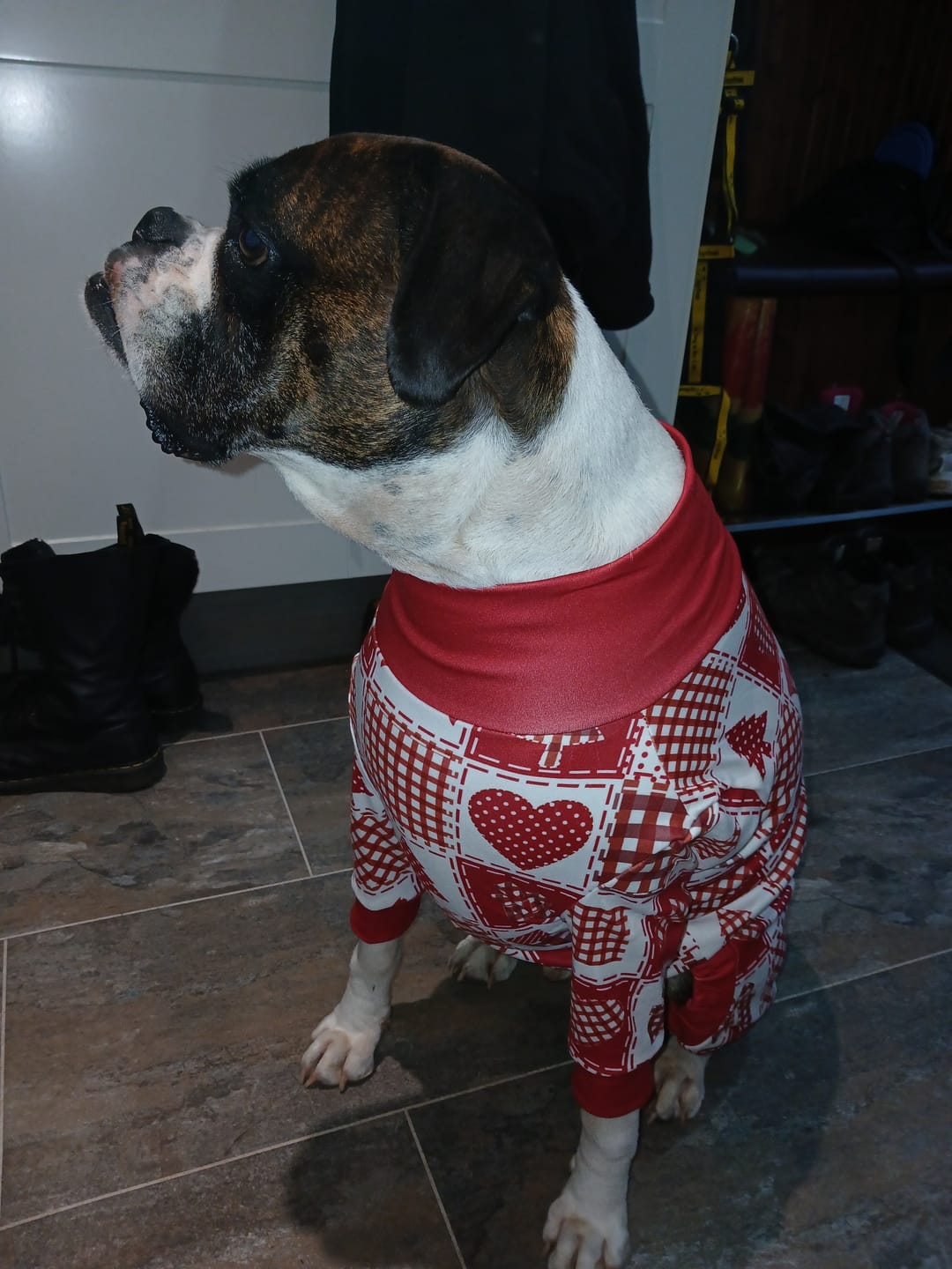 Customer photo review of Dog Christmas Pajama - Festive Patchwork