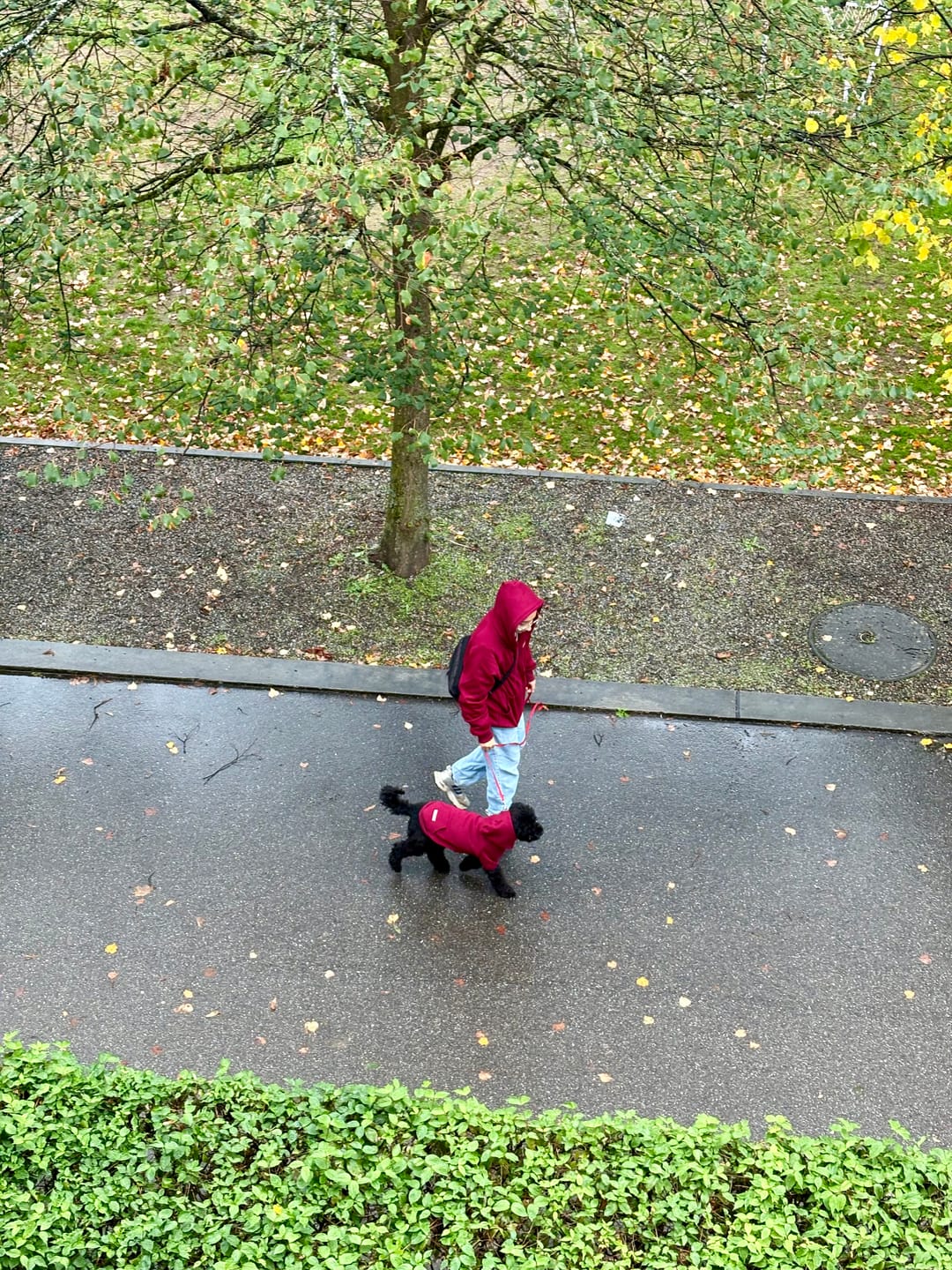 Customer photo review of Essential Human Hoodie - Burgundy