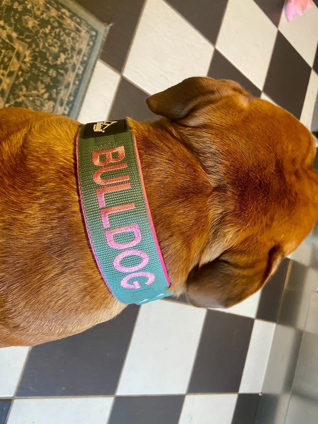 Customer photo review of Martingale halsband med namn