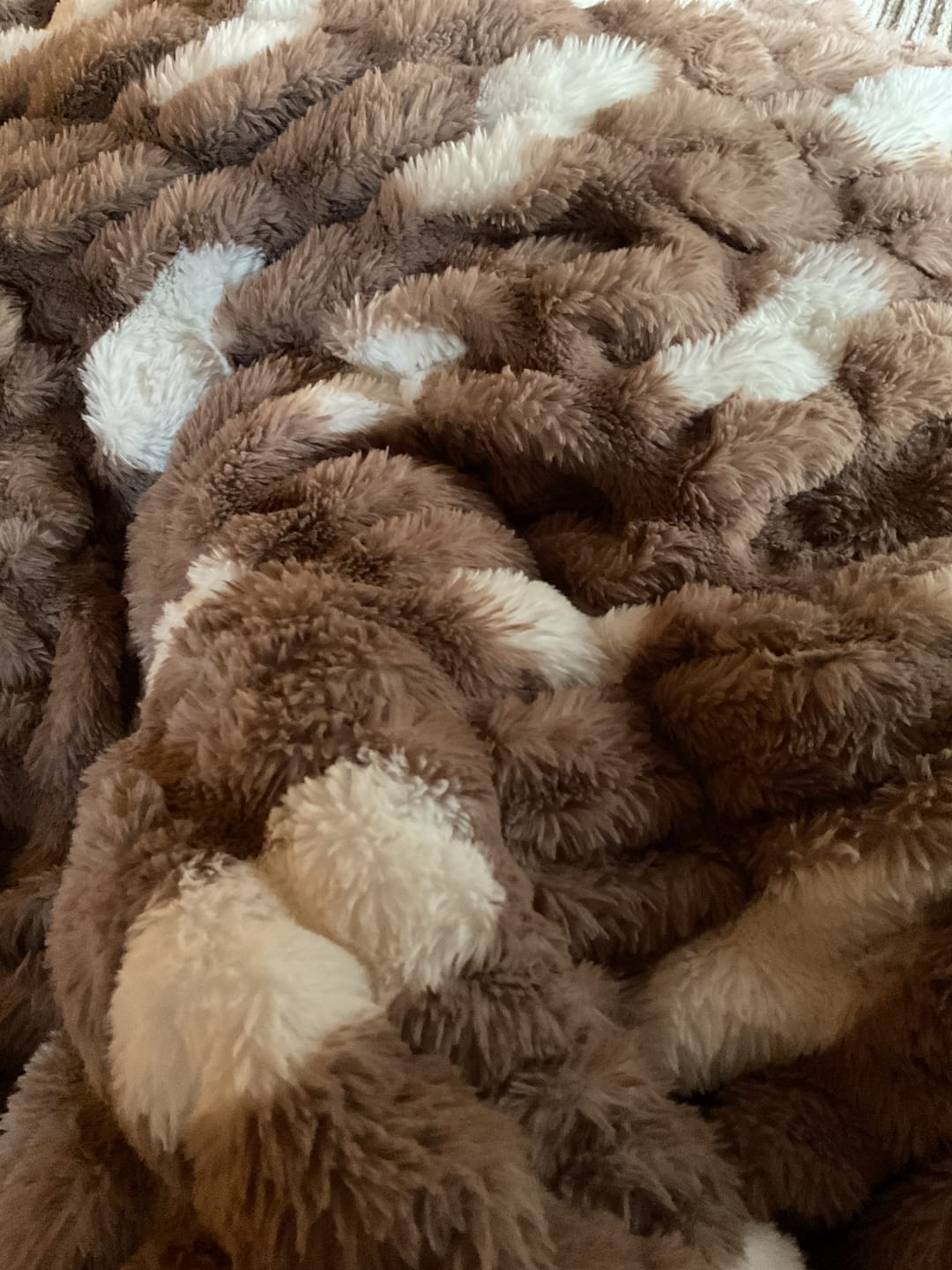 Customer photo review of Hugs Polka Dot Milk Chocolate Blanket