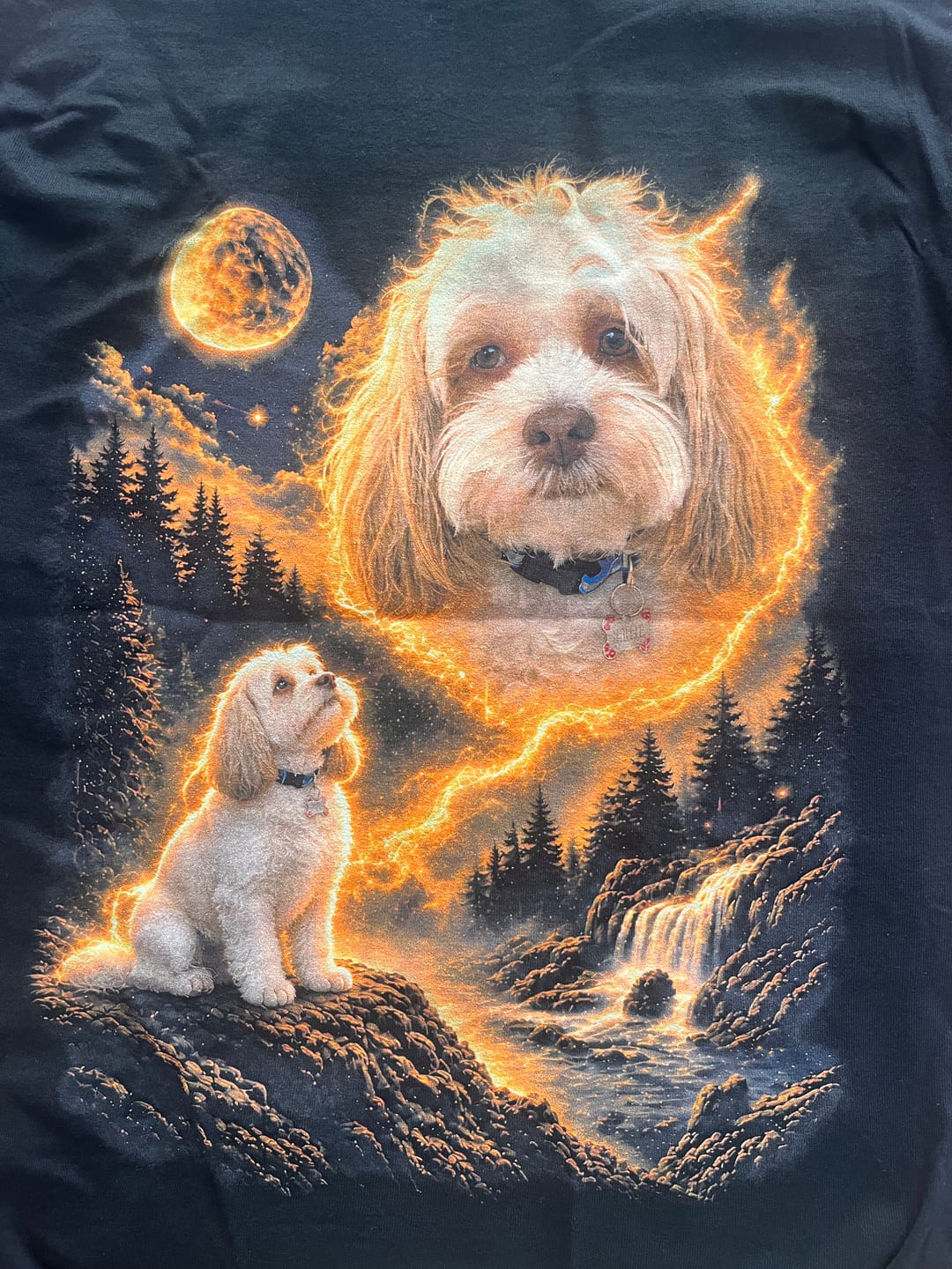 Customer photo review of Pet Art | Custom T-shirt
