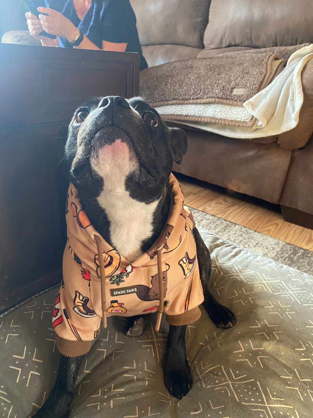 Customer photo review of The Canada Dog Hoodie