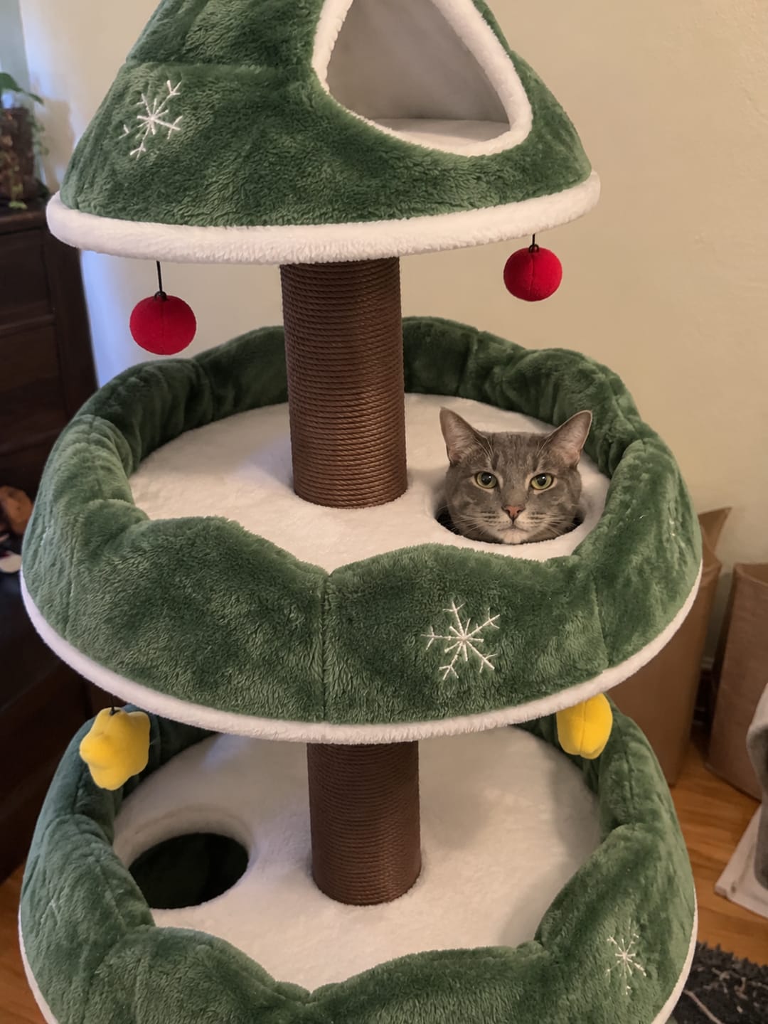 Customer photo review of MichiTree© Christmas Tree for Cats