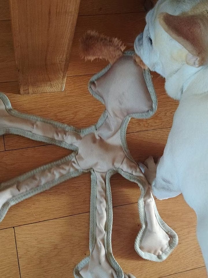 Customer photo review of Human Dog