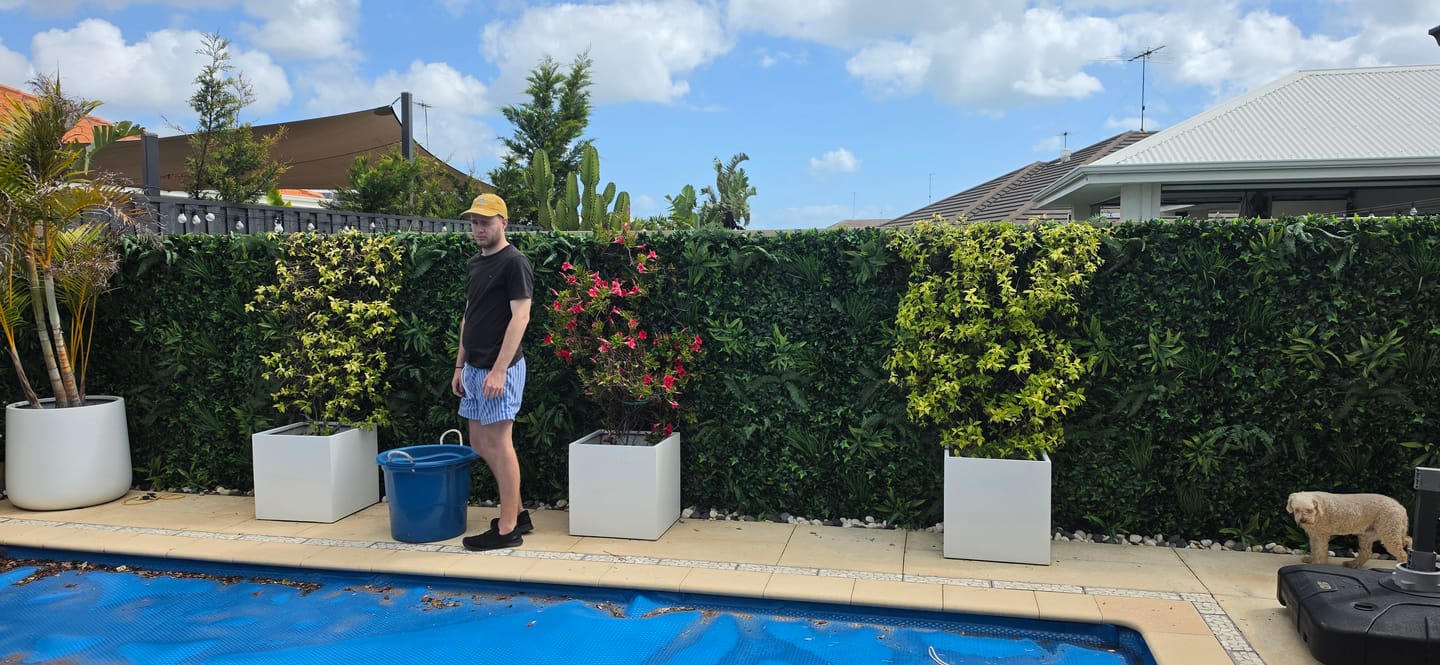Customer photo review of Luxury Green Tropics Vertical Garden/Green Wall UV Resistant 1m x 1m