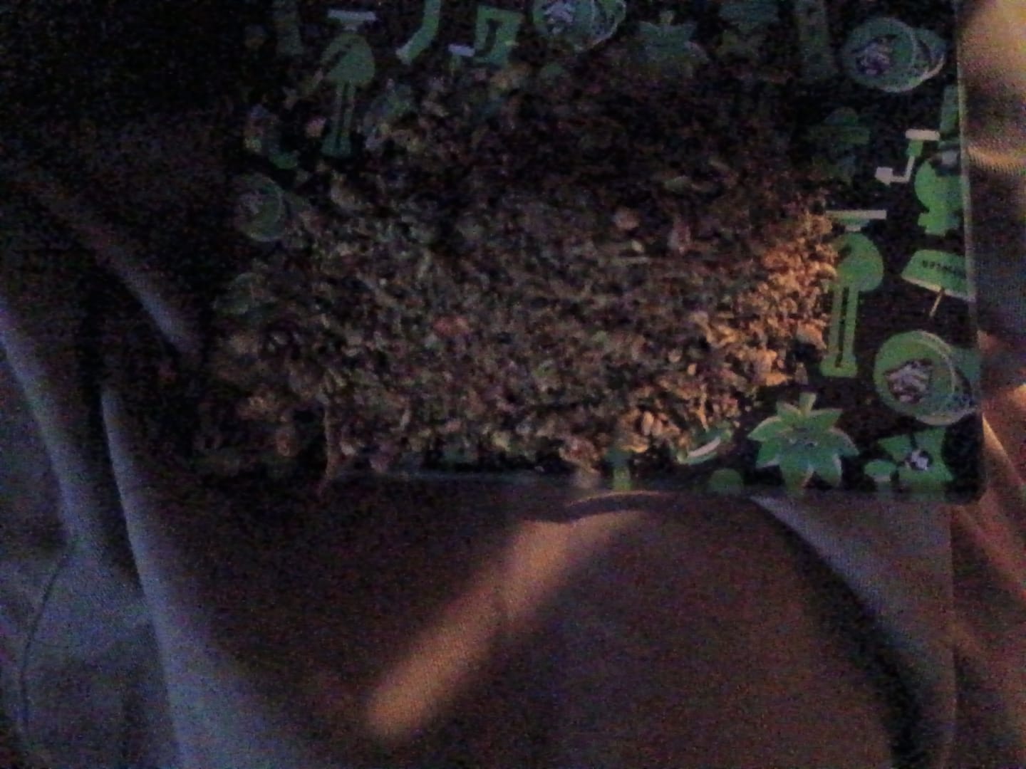 Customer photo review of (Buy 1 Get 2 Free) No5. Sherbet THCa Shake