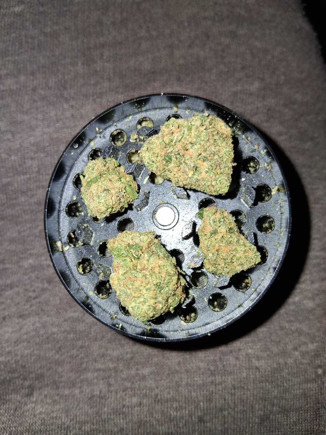 Customer photo review of Biscotti THCA Flower (Budget)