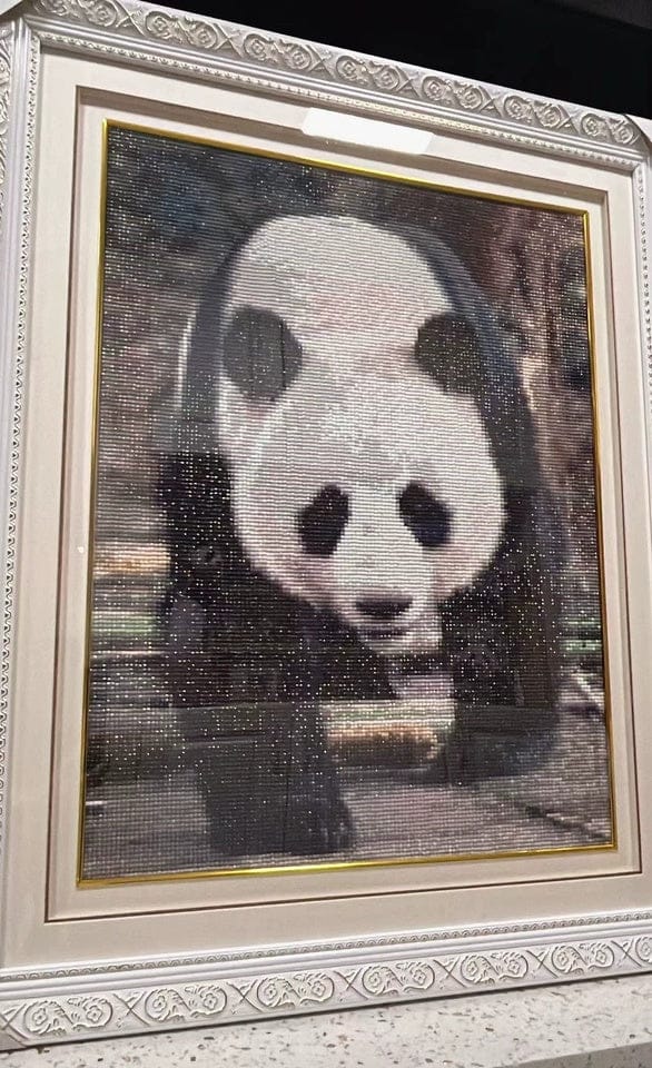 Customer photo review of Custom Diamond Painting Kit - Turn Your Photo Into Sparkling Art