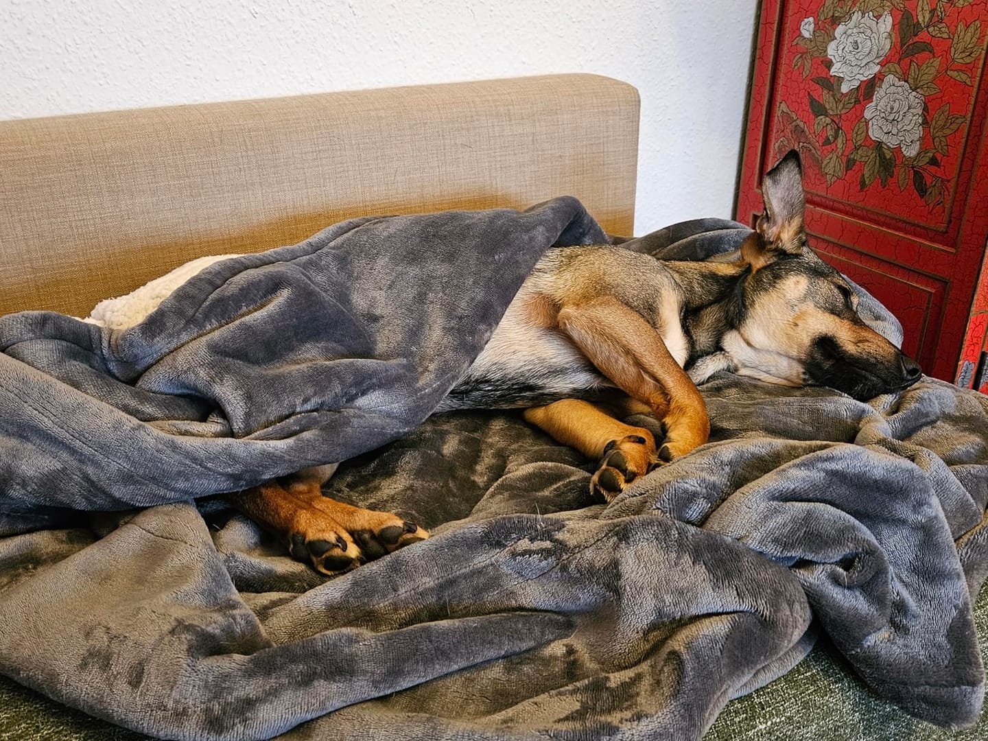Customer photo review of Wohlfühldecke - Beheizbare Kuscheldecke®
