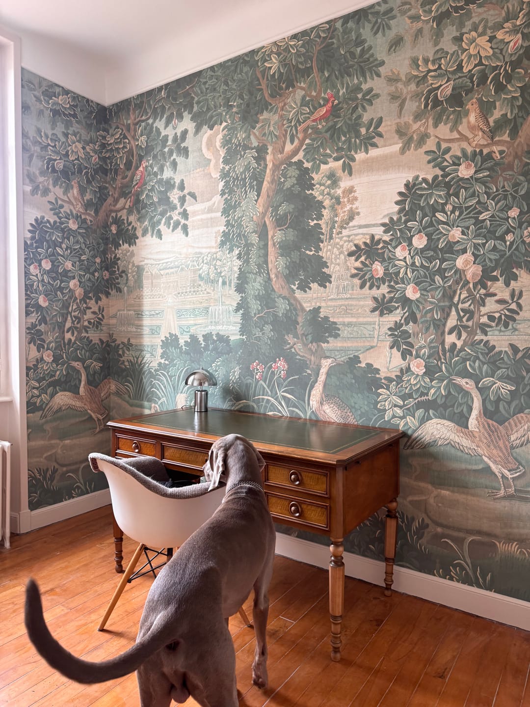 Customer photo review of Katharine - Green Vintage Jungle Tapestry Mural Wallpaper Mural