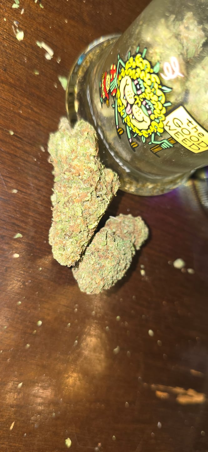Customer photo review of Papaya Runtz THCA Flower
