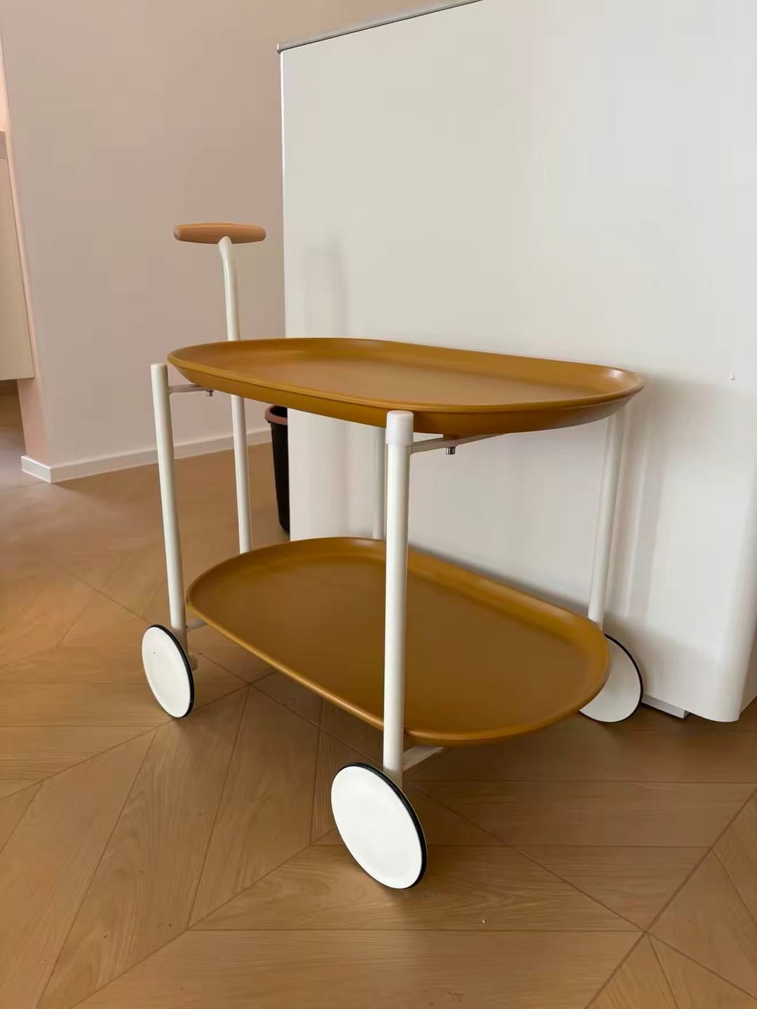 Customer photo review of KKUSO TROLLEY - LUNA ROVER BUTTER GINGER