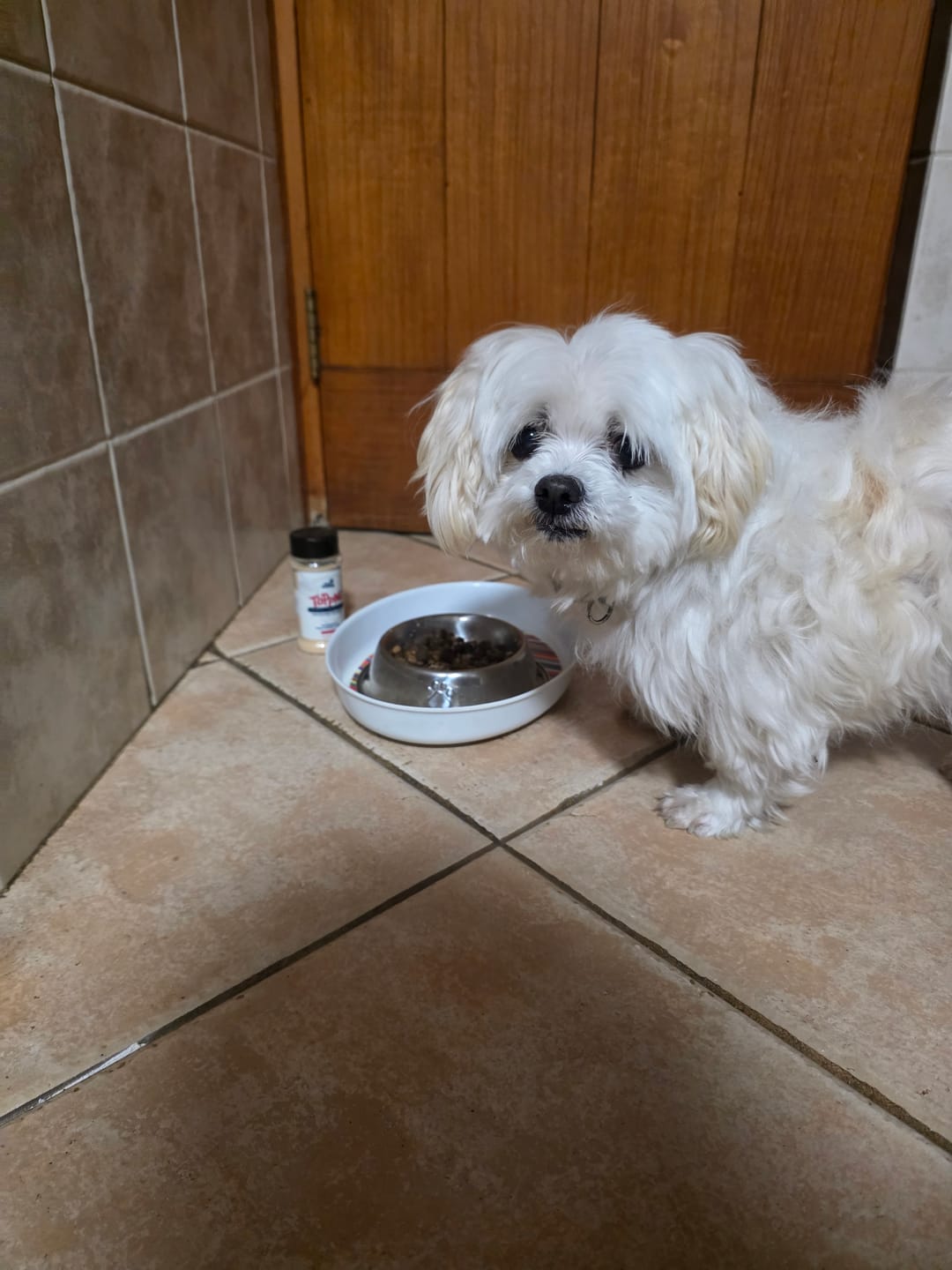 Customer photo review of PetFamily Foods Razas Pequeñas