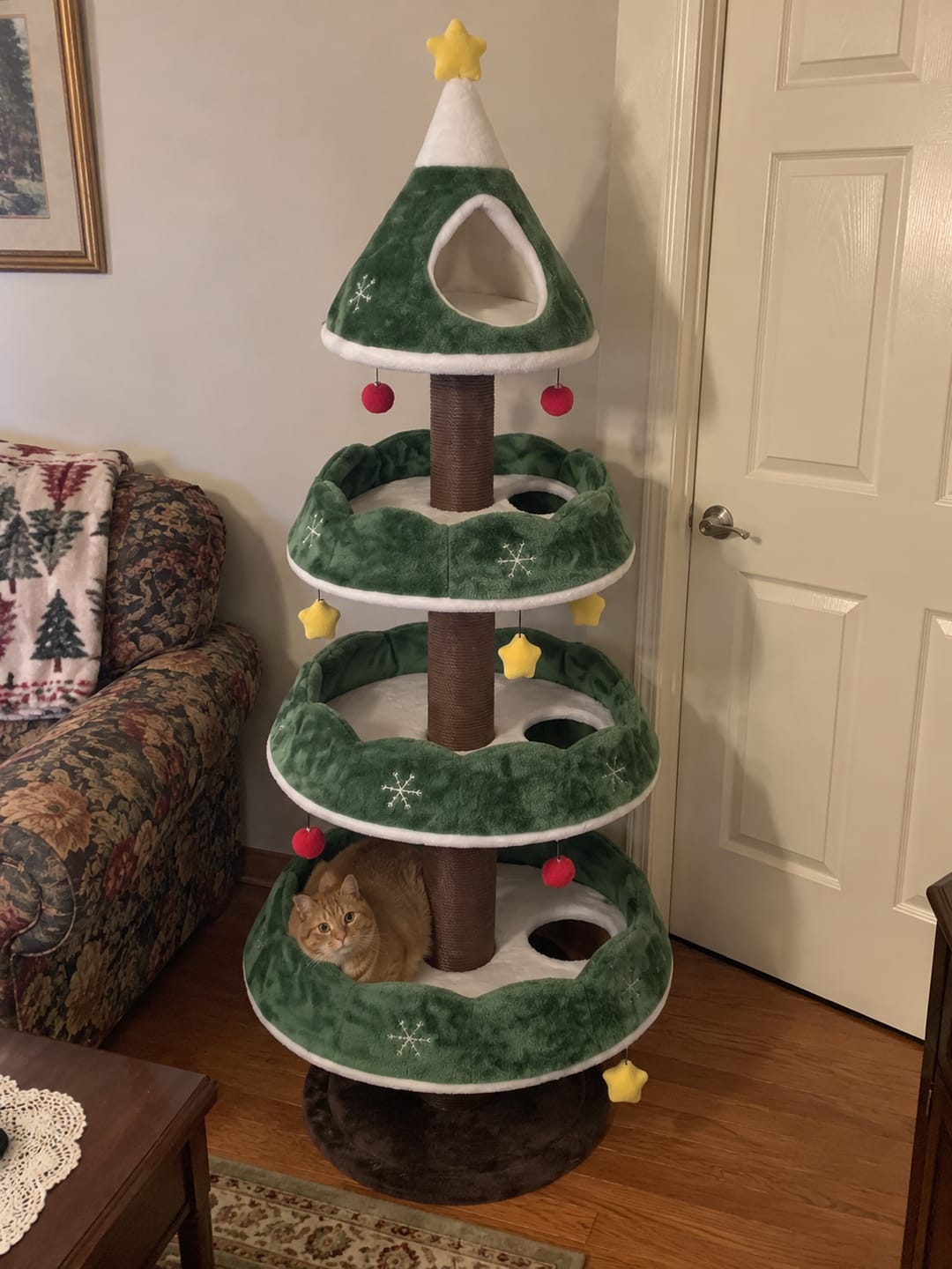 Customer photo review of MichiTree© Christmas Tree for Cats