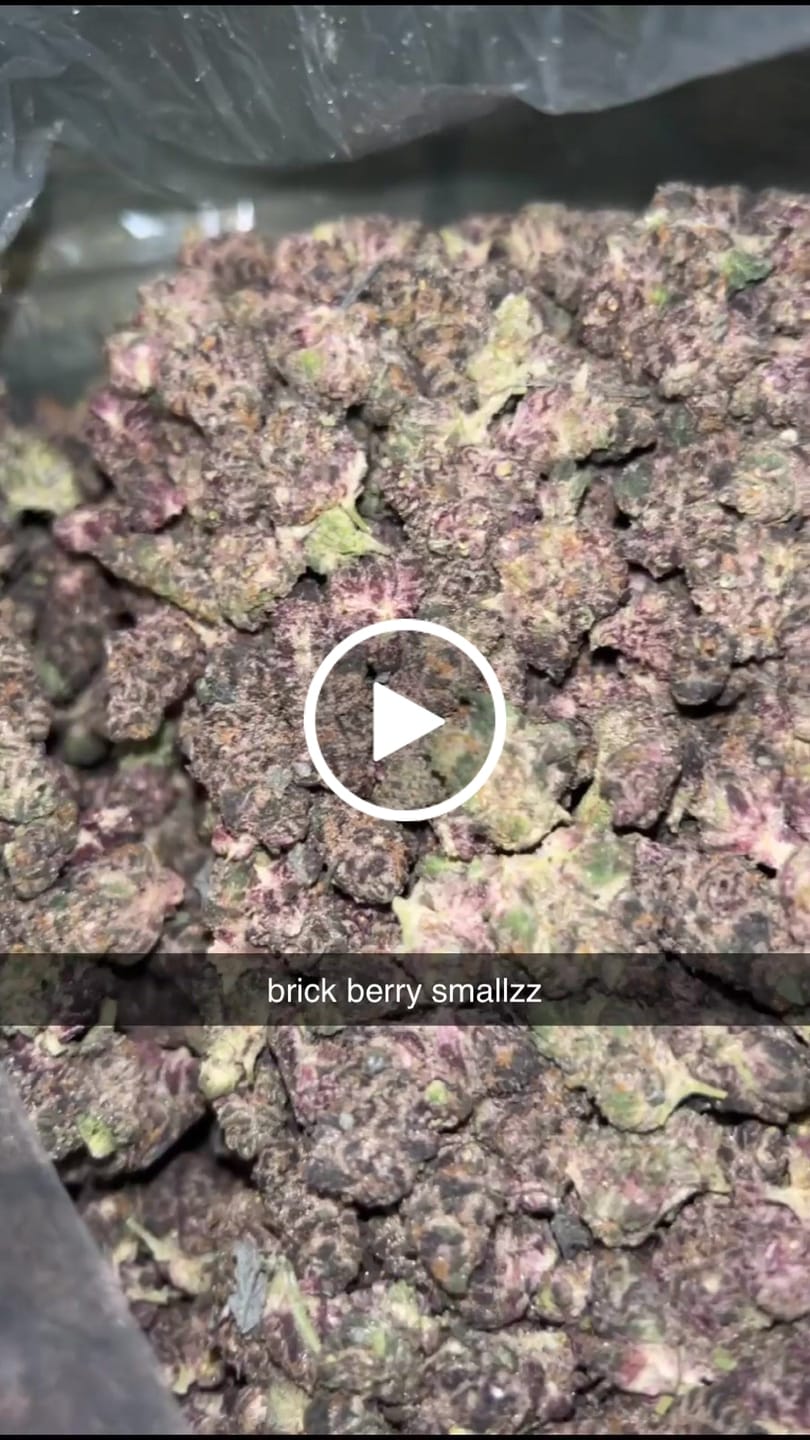 Customer video review of Blue Dream (Indoor Smalls) – Bulk THCA Flower 1 lb
