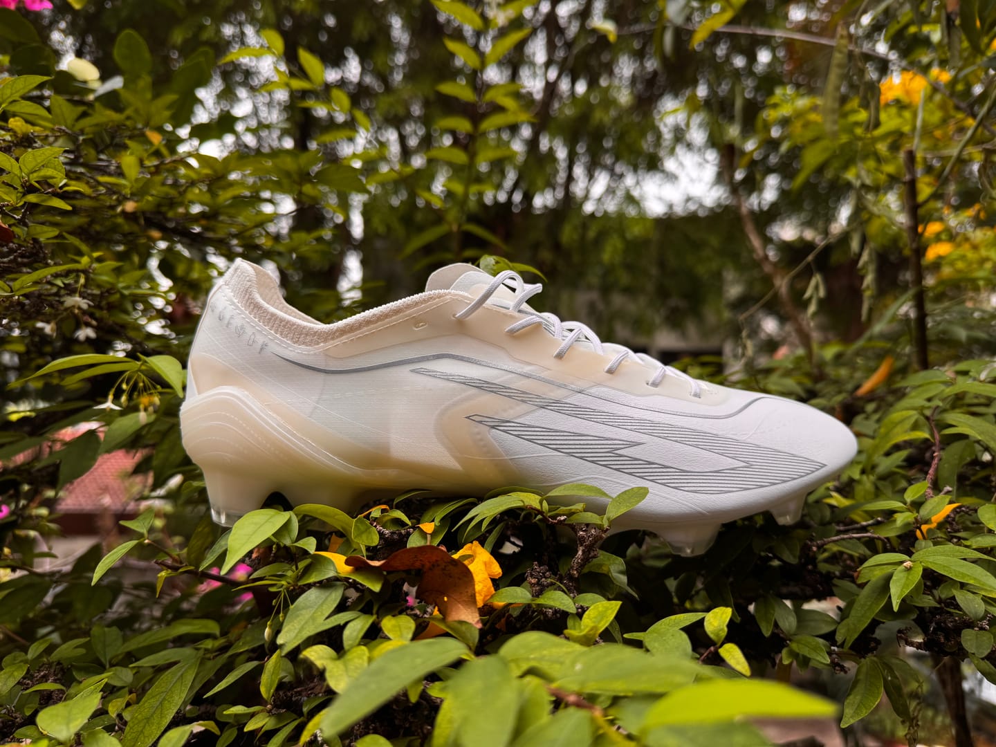 Customer photo review of Scudetta Kaizen FG