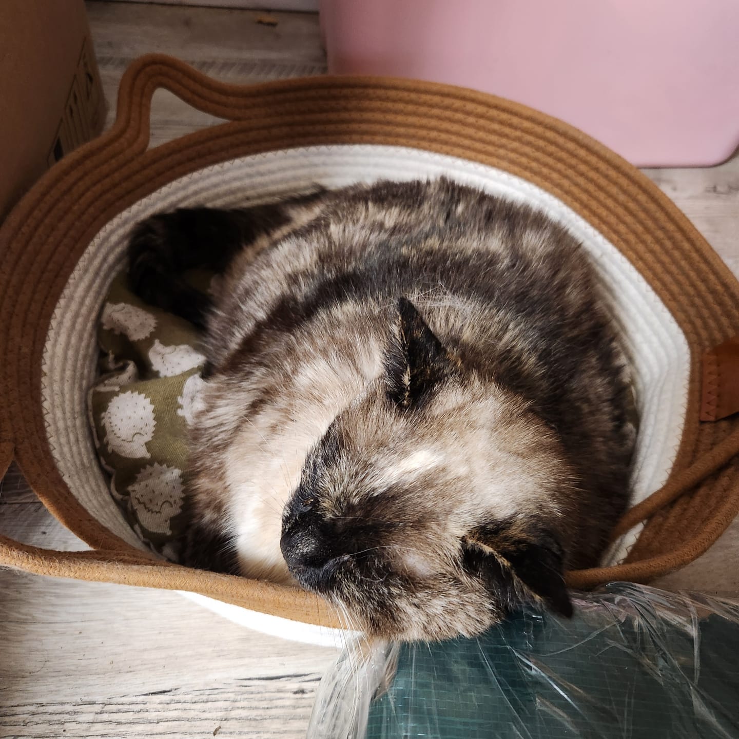 Customer photo review of Instinct Basket | Meet the first research-backed natural territory for indoor cats