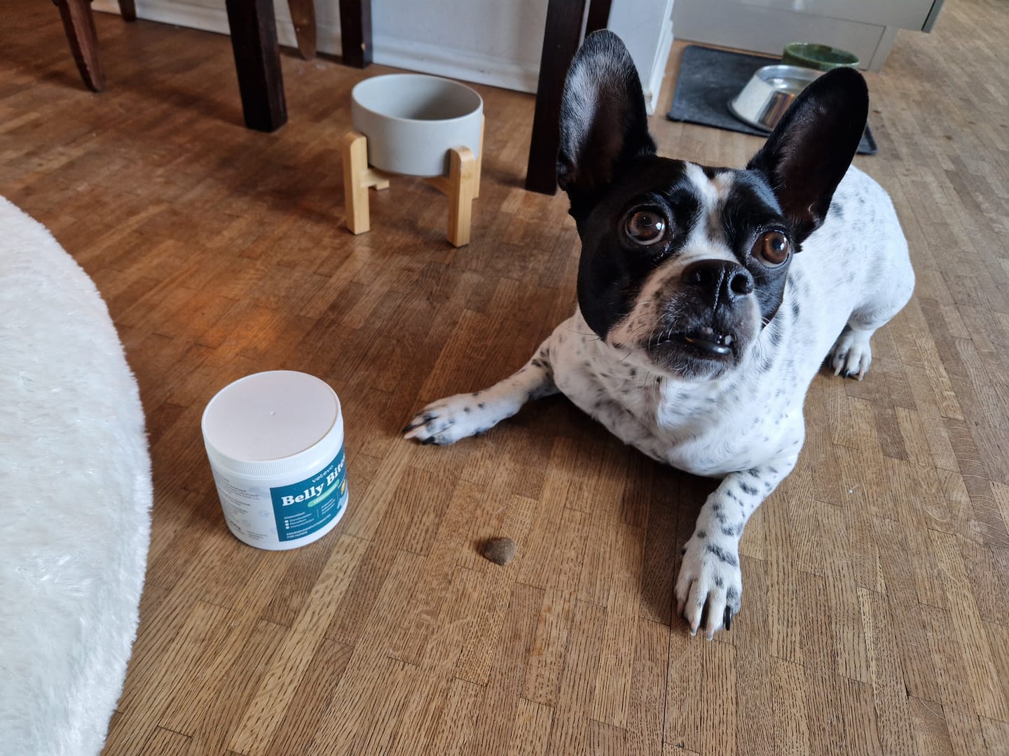 Customer photo review of Belly Bites 2.0