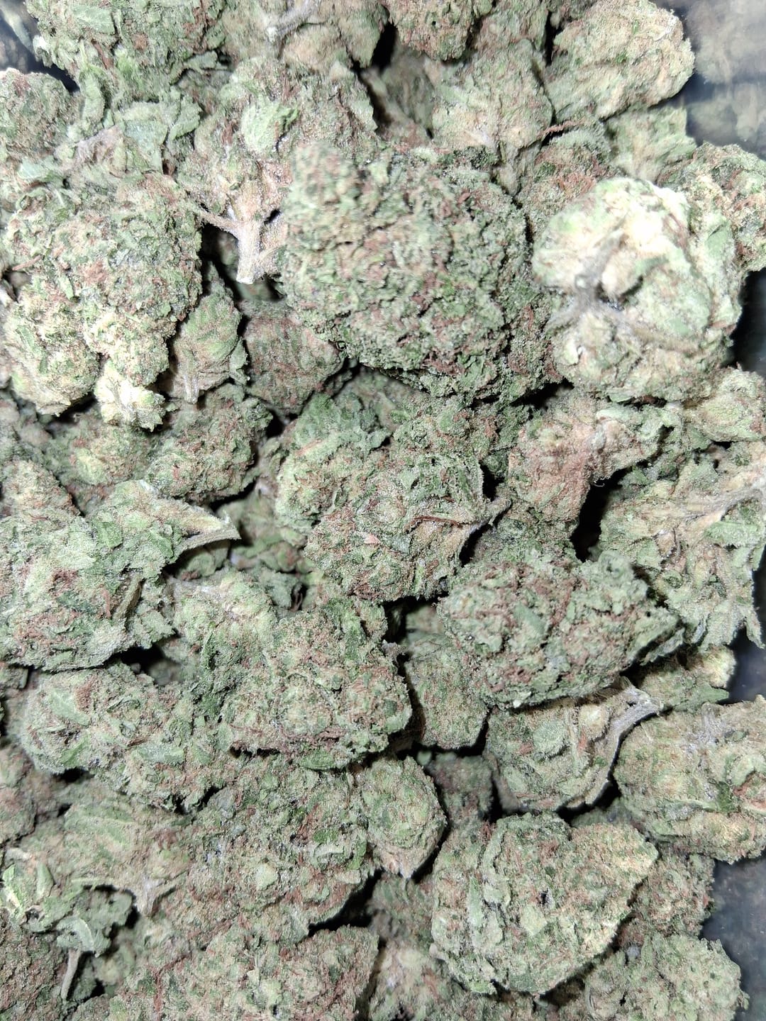 Customer photo review of Big League Choo THCA Flower