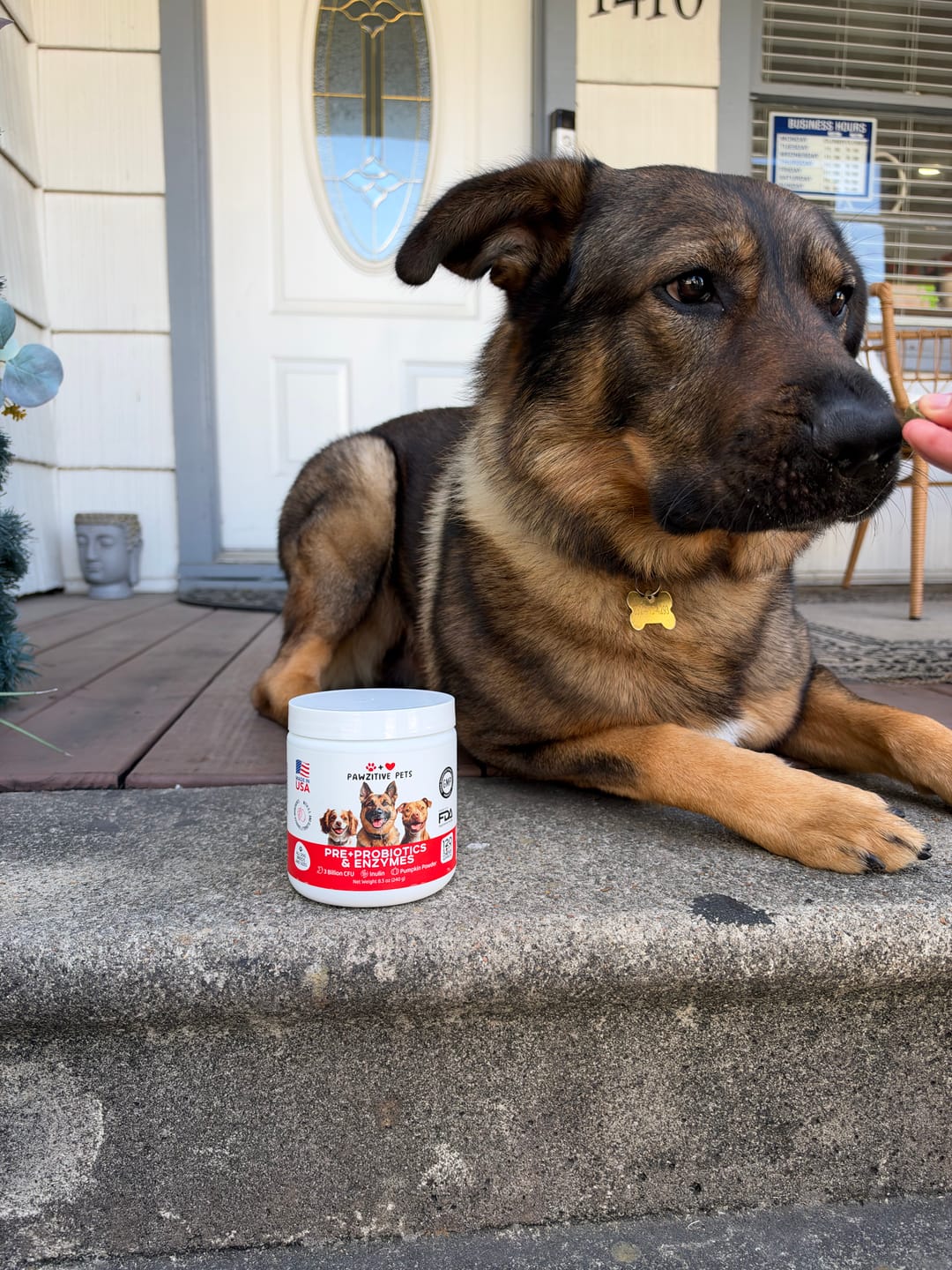 Customer photo review of Pre+Probiotics for Dogs Digestive Health – 120 Soft Chews (Beef Flavor)