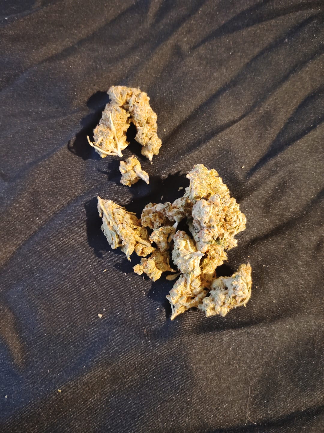 Customer photo review of THCA Queen