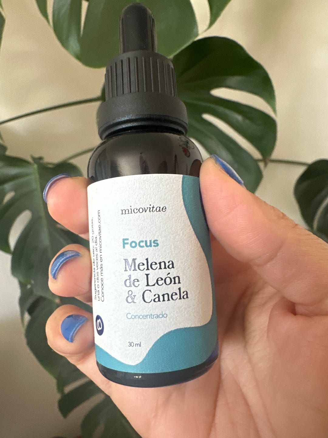 Customer photo review of Focus | Extracto de Melena de León