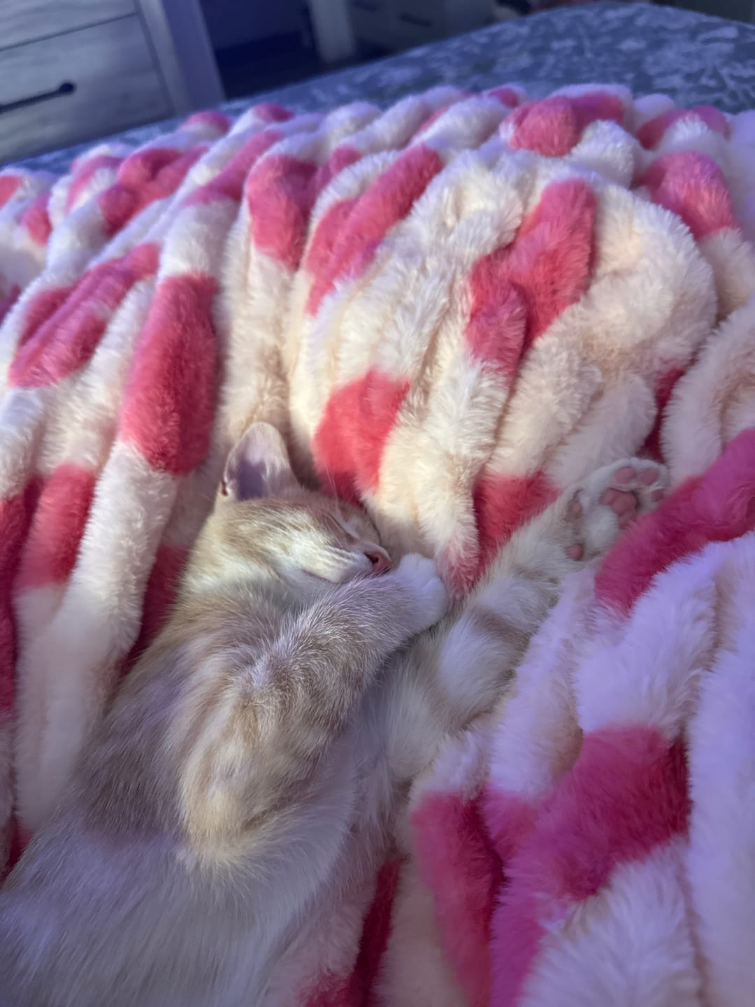 Customer photo review of Hugs Heart Pink Blanket